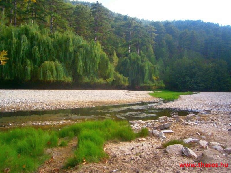 Az öreg falu, a vén platán és a folyók meséje